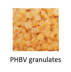 PHBV TEST