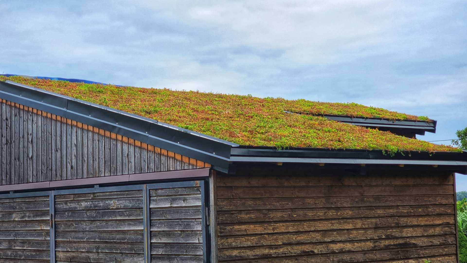 GREEN ROOF