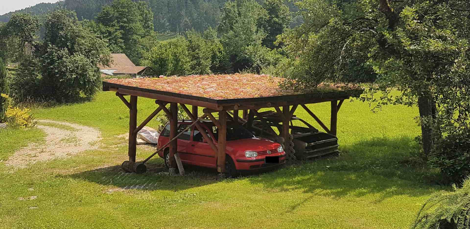 NATURE ROOF